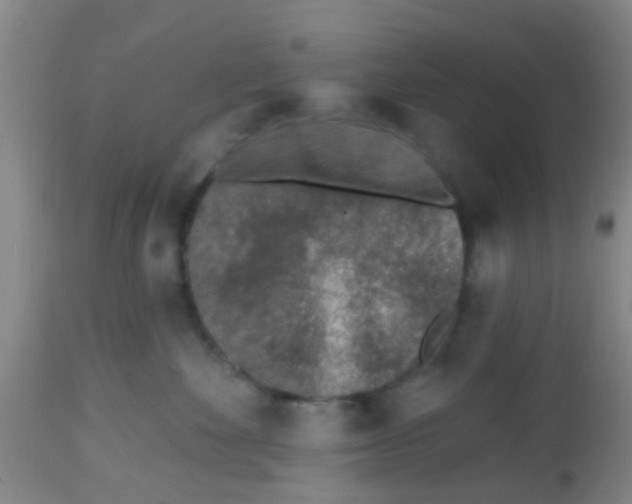 X0000113860524200910221444