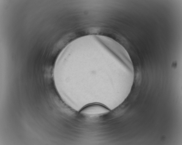 X0000113860525200910221444