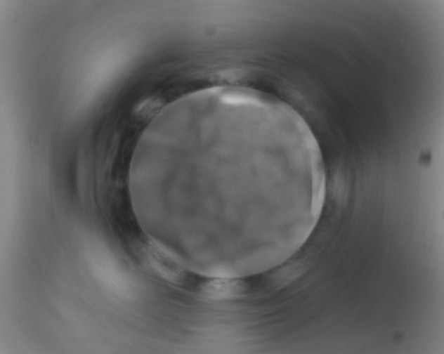 X0000113860526200910221444