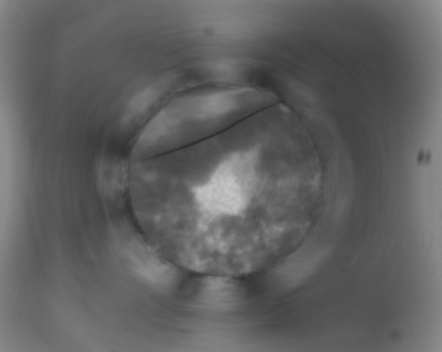 X0000113860528200910221444