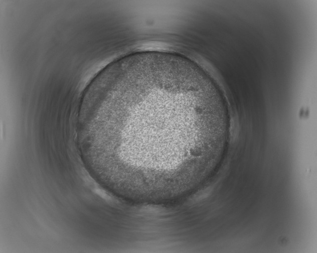 X0000113860529200910221443