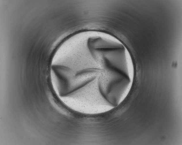 X0000113860530200910221443
