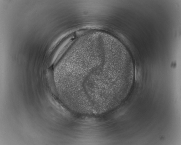 X0000113860531200910221443