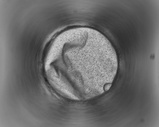 X0000113860532200910221443