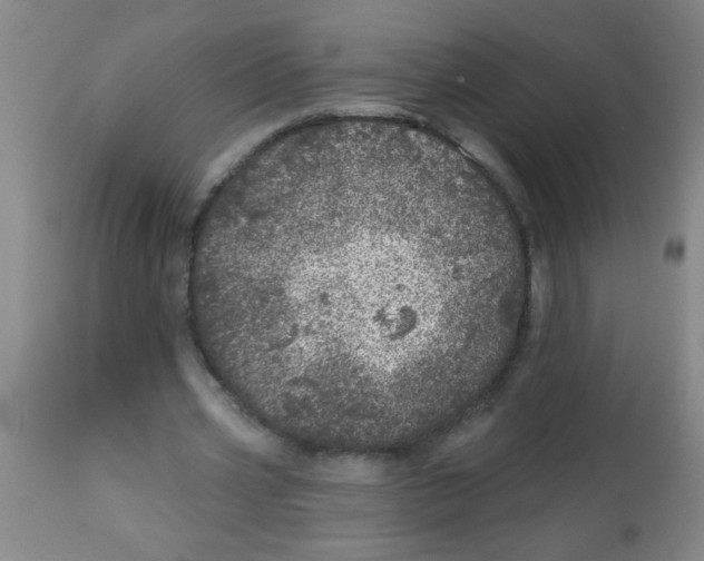 X0000113860533200910221443