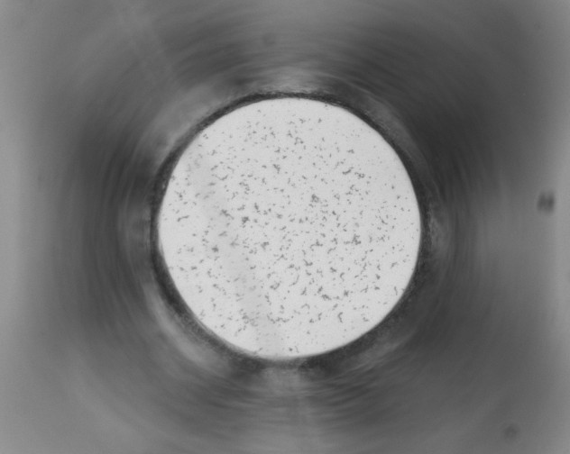 X0000113860534200910221443