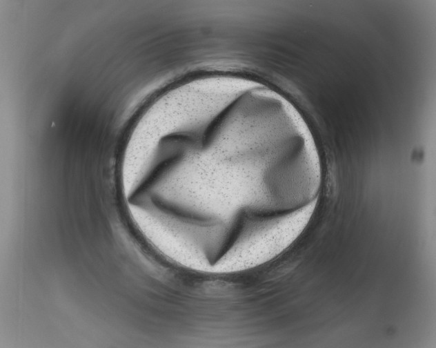 X0000113860535200910221443