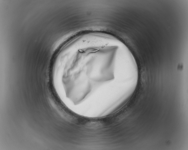 X0000113860536200910221443