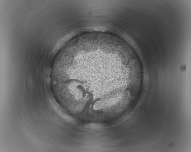 X0000113860537200910221443