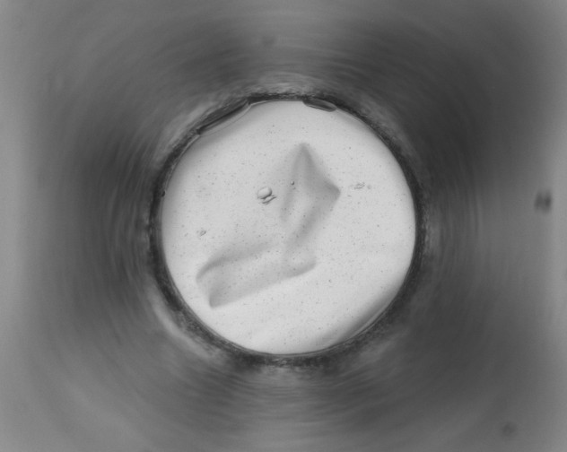 X0000113860538200910221443