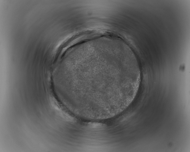 X0000113860539200910221443