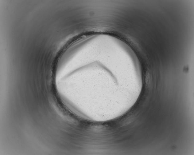 X0000113860540200910221443