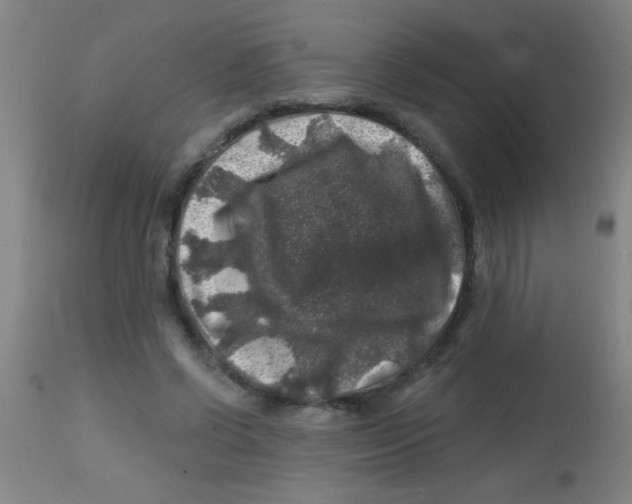 X0000113860542200910221443