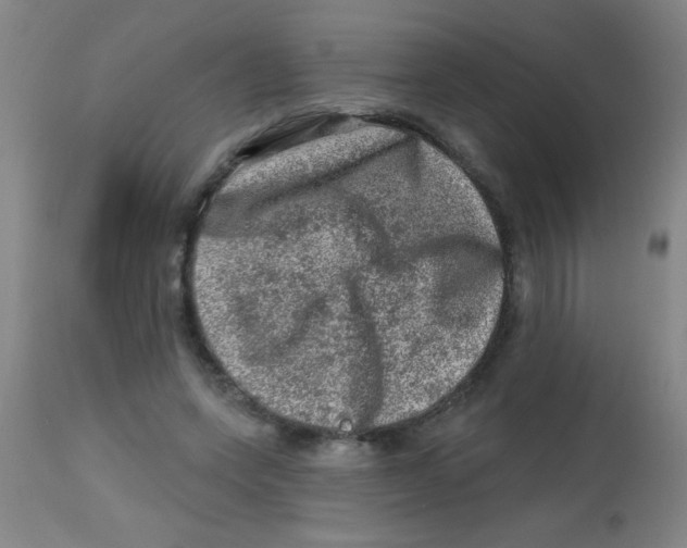 X0000113860543200910221443