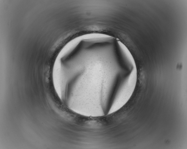 X0000113860544200910221443