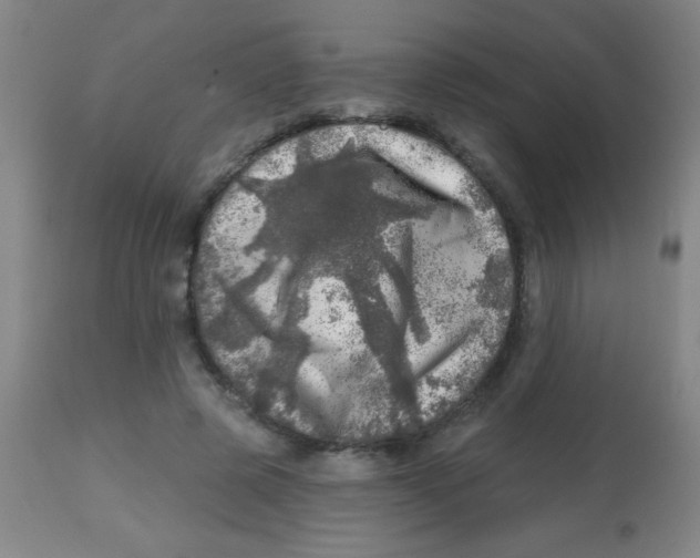 X0000113860545200910221443