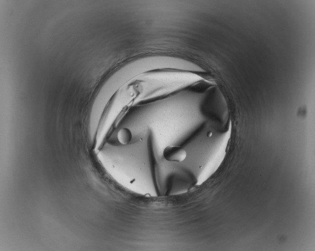 X0000113860546200910221443