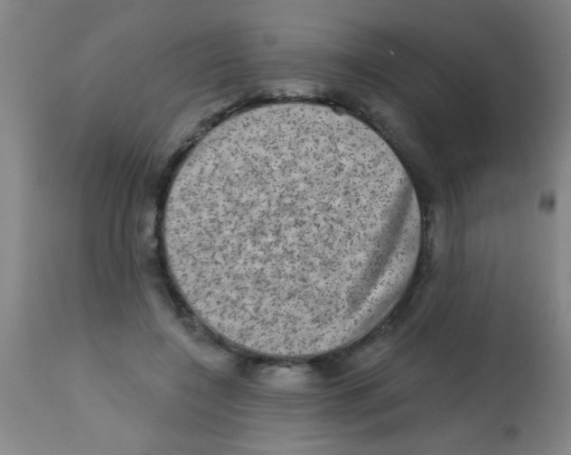 X0000113860548200910221443