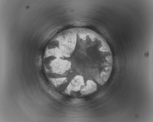 X0000113860549200910221443