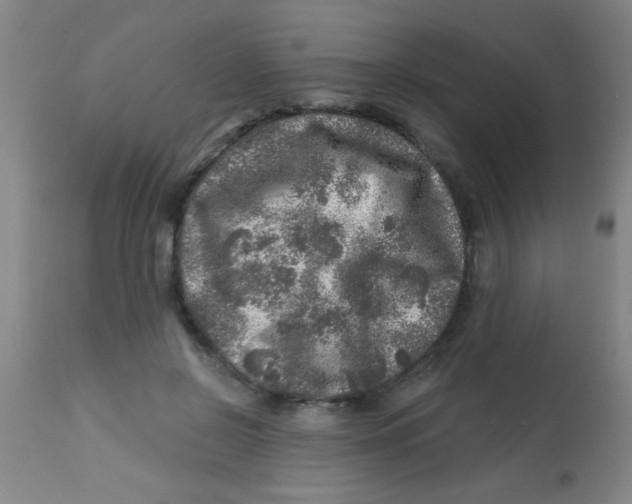 X0000113860550200910221443