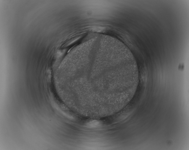 X0000113860551200910221443