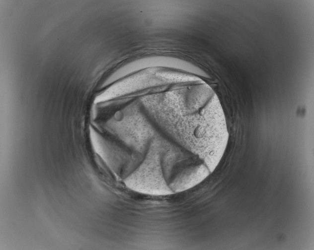 X0000113860552200910221443