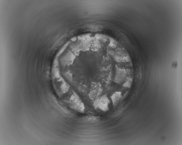 X0000113860553200910221443