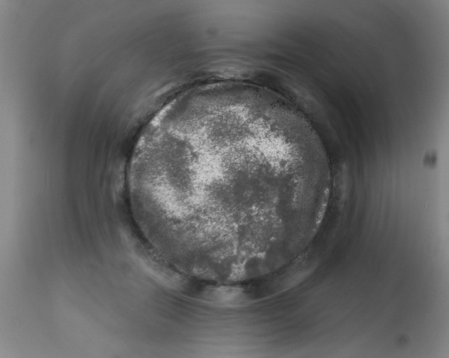 X0000113860554200910221443