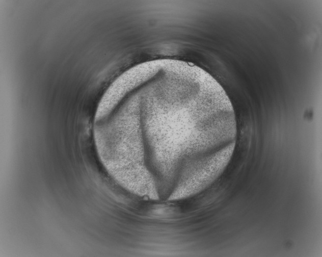 X0000113860555200910221443
