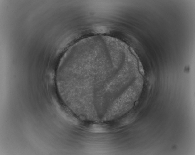X0000113860556200910221443