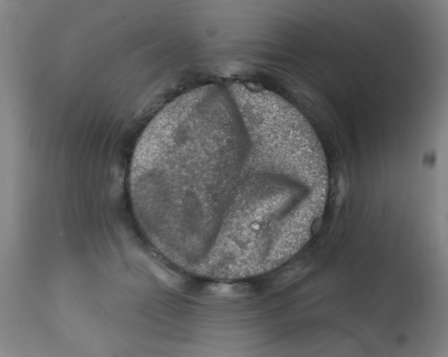 X0000113860558200910221443