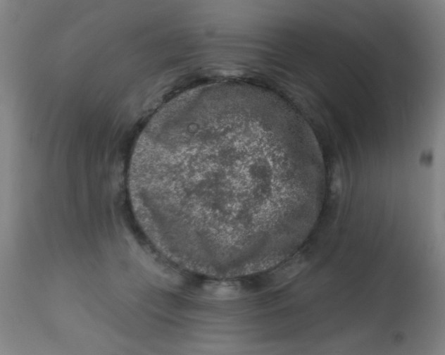 X0000113860559200910221443