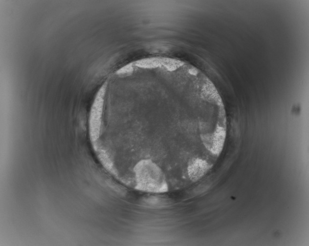 X0000113860561200910221444
