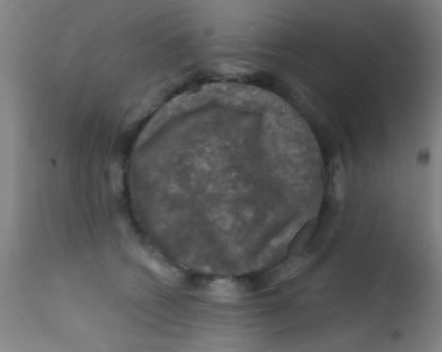 X0000113860562200910221444