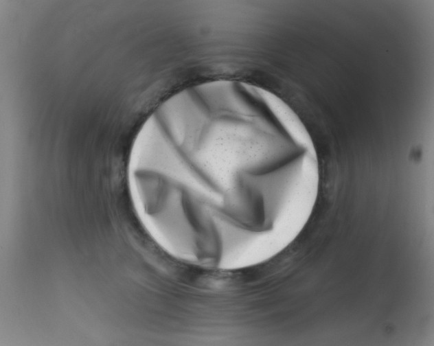 X0000113860563200910221444