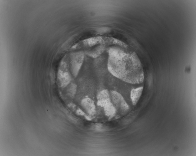 X0000113860565200910221444