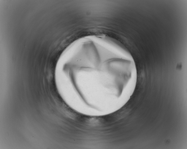 X0000113860566200910221444