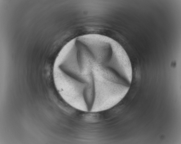 X0000113860567200910221444