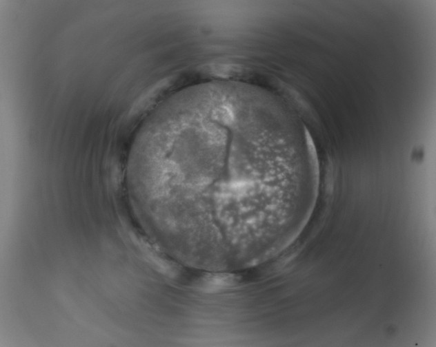 X0000113860569200910221444