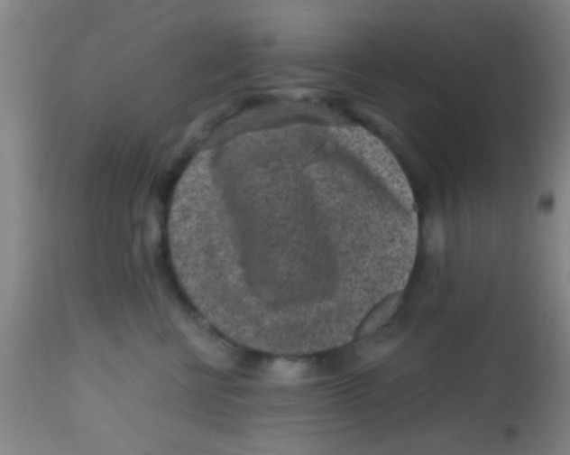 X0000113860570200910221444