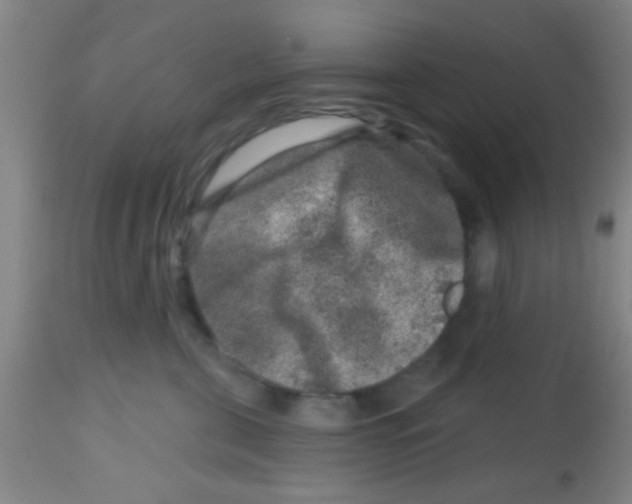 X0000113860571200910221444