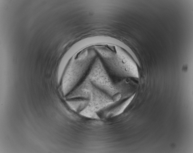 X0000113860572200910221444