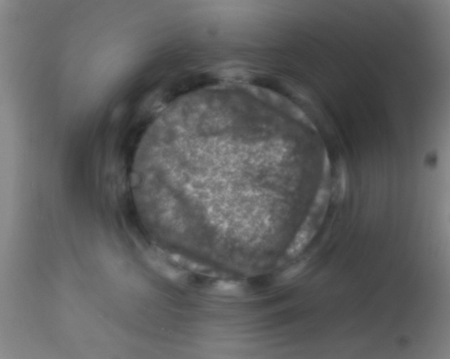 X0000113860573200910221444