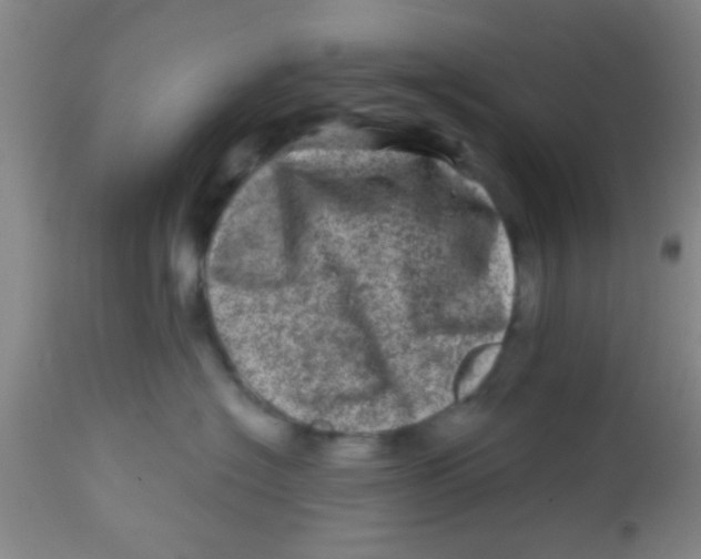X0000113860574200910221444