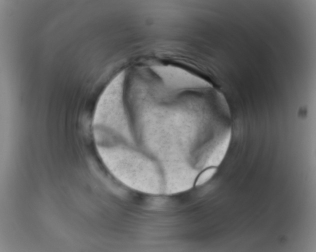X0000113860575200910221444