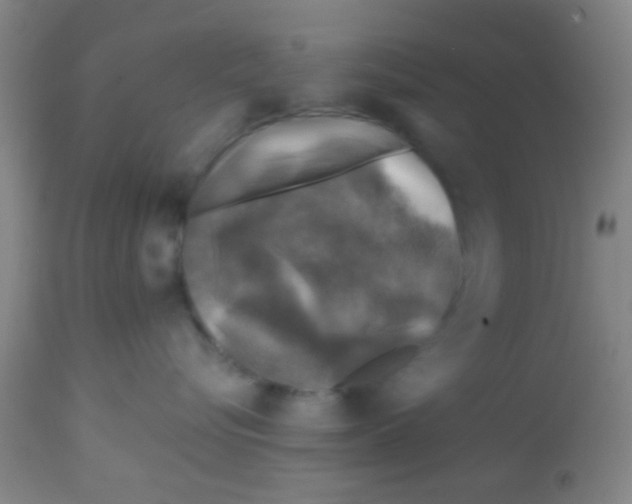 X0000113860576200910221444