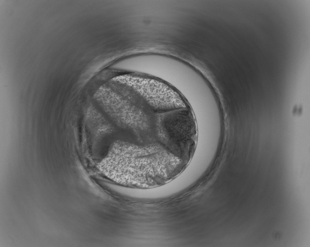 X0000113860577200910221443