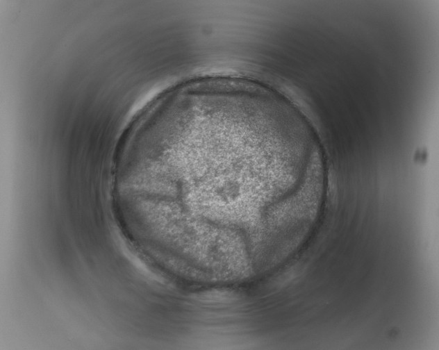 X0000113860578200910221443