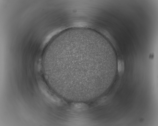 X0000113860579200910221443