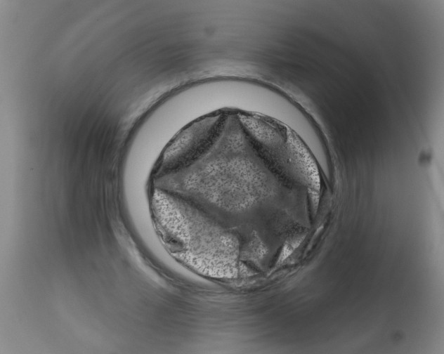 X0000113860581200910221443
